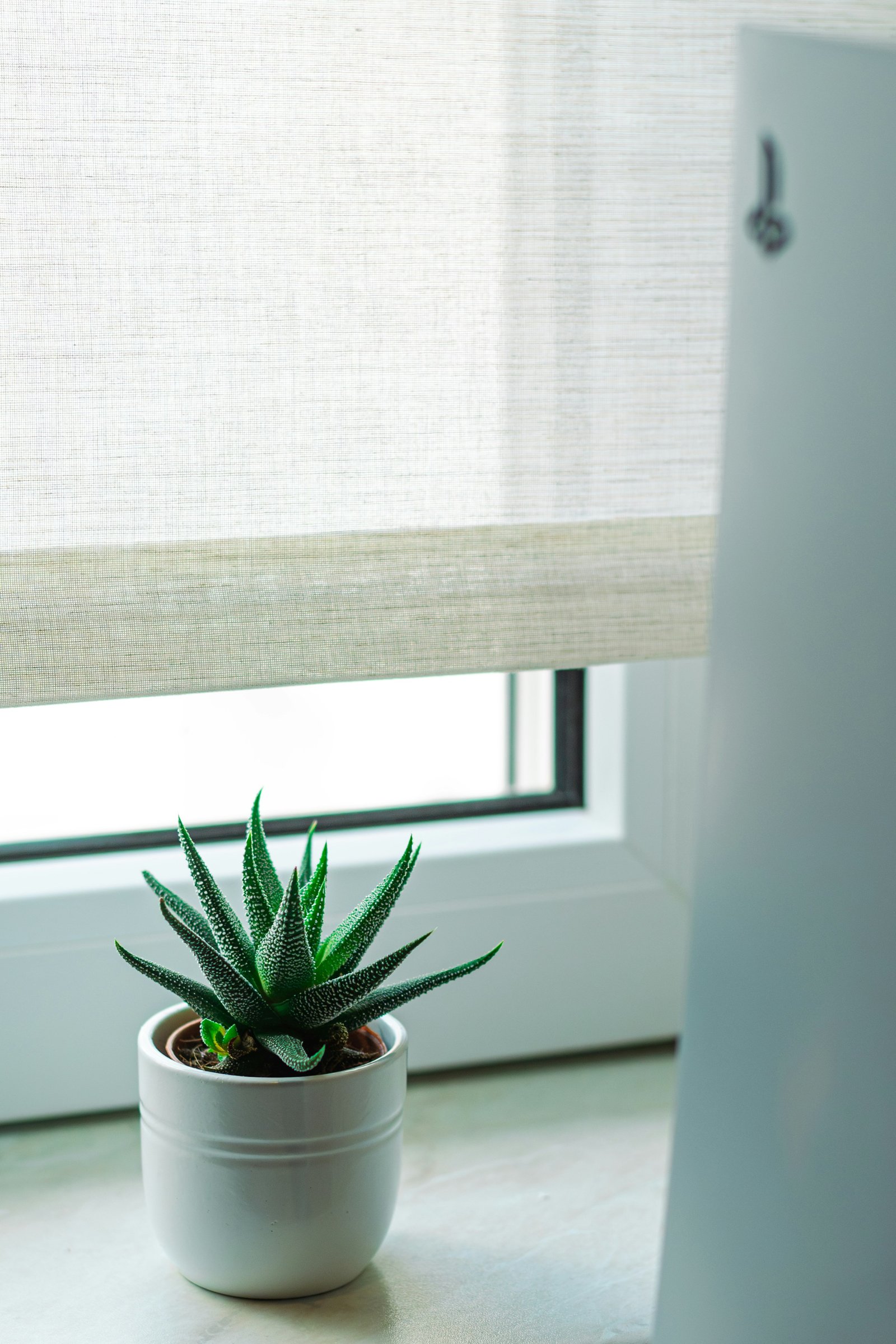 Curtains & Blinds