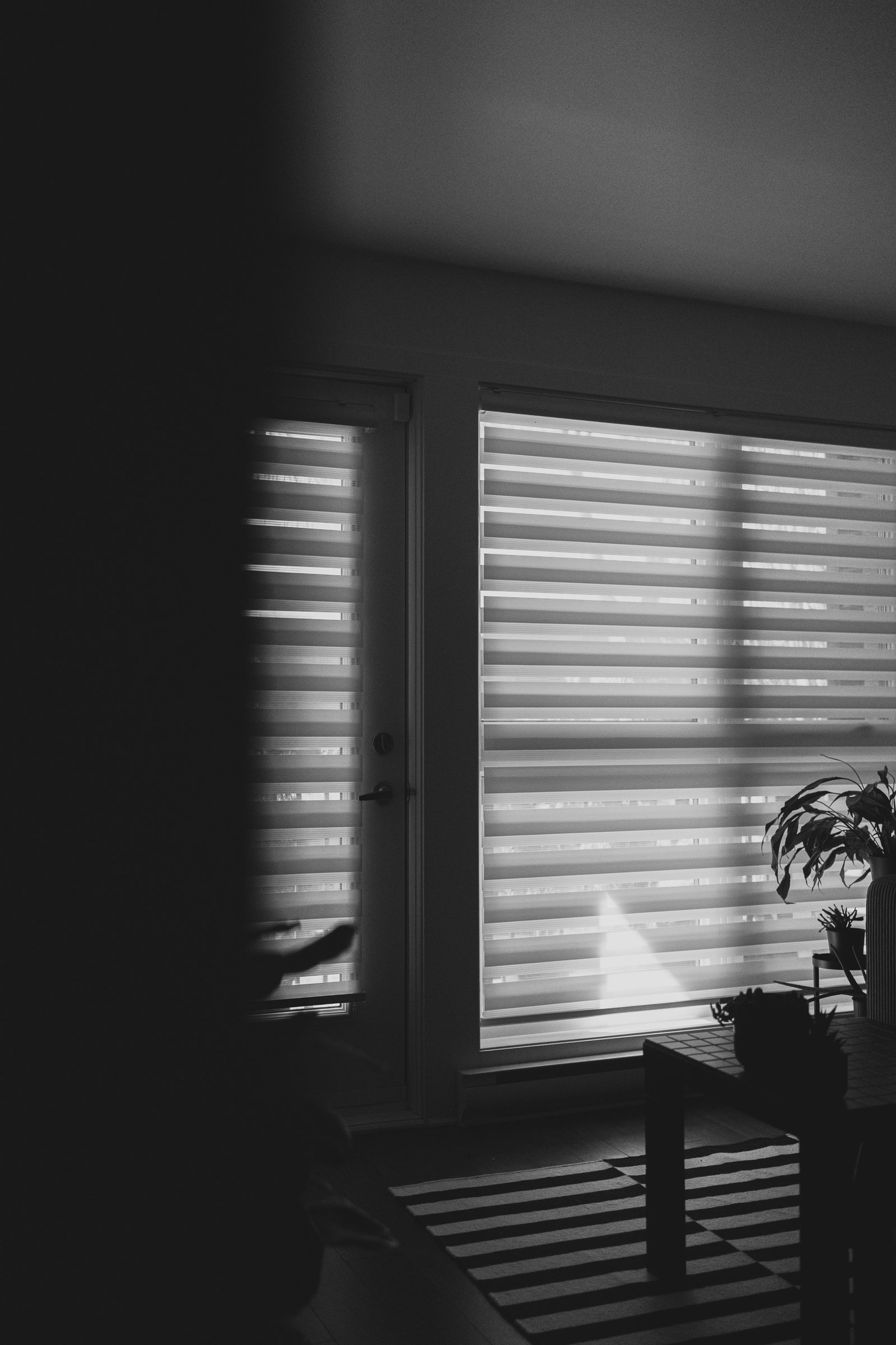Sheer Curtains